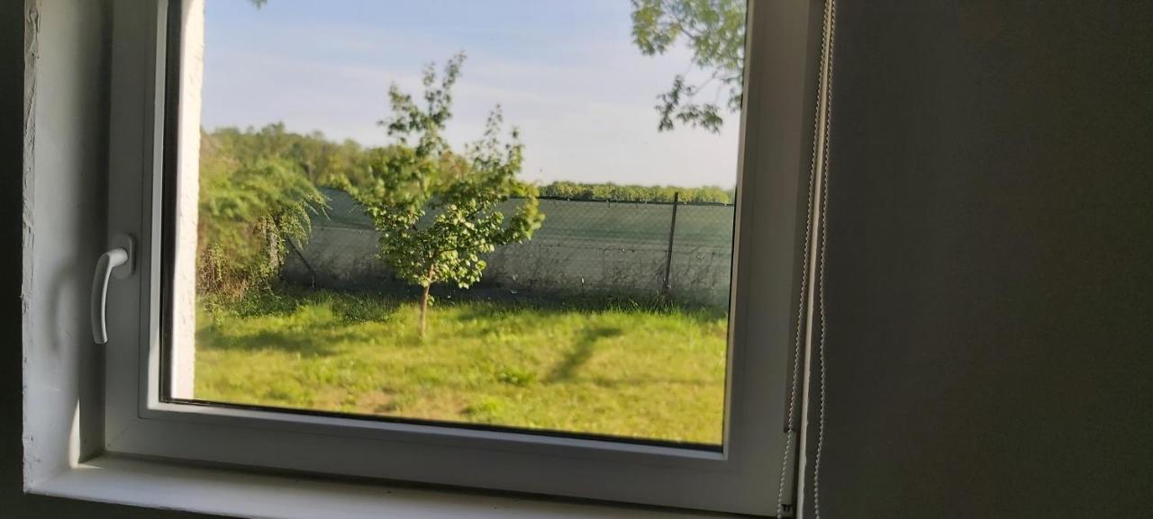Kleinwohnung Mk-Smart Wien Exteriör bild